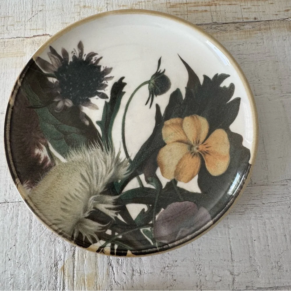 Pier 1 Imports Moody‎ Blooms NWT Set of 4 Salad Plates Floral Ceramic Plate